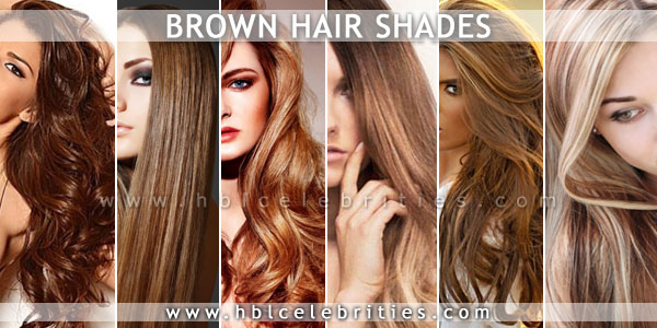 Classic Highlights for Brown Hair Shades